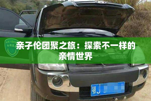 亲孑伦团聚之旅：探索不一样的亲情世界