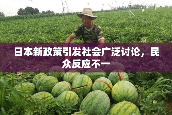 日本新政策引发社会广泛讨论，民众反应不一