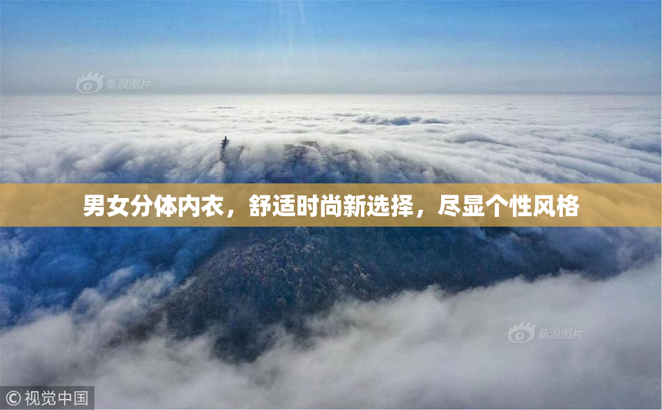 男女分体内衣，舒适时尚新选择，尽显个性风格