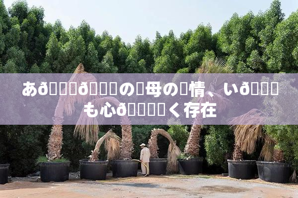 あ🍑👅の✿母の愛情、い😚も心🎆響く存在