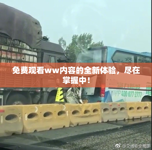 免费观看ww内容的全新体验，尽在掌握中！