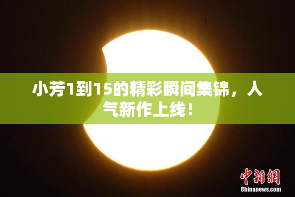 小芳1到15的精彩瞬间集锦，人气新作上线！