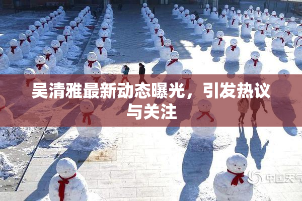吴清雅最新动态曝光，引发热议与关注