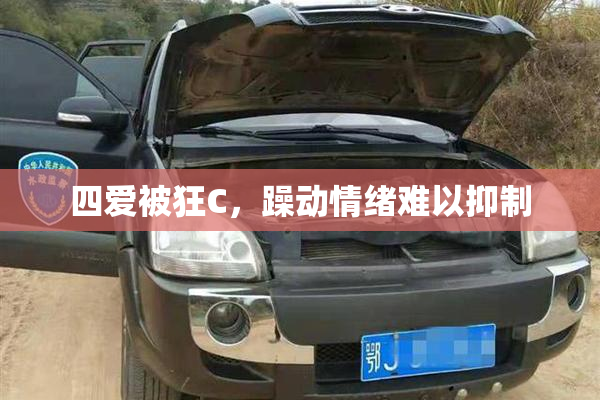 四爱被狂C，躁动情绪难以抑制