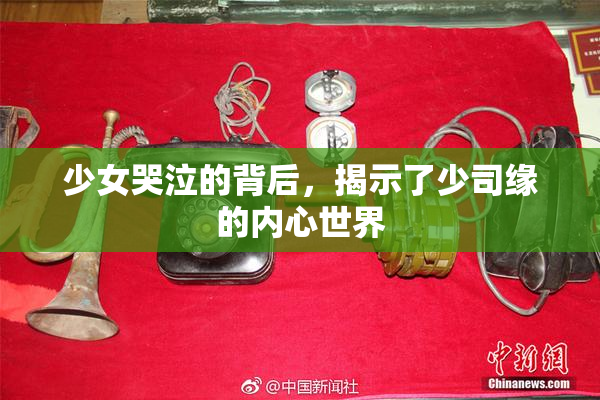 少女哭泣的背后，揭示了少司缘的内心世界