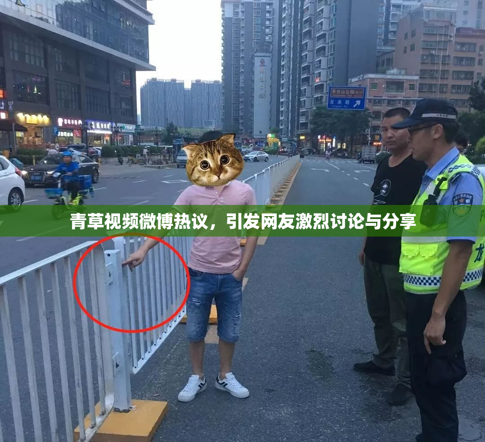 青草视频微博热议，引发网友激烈讨论与分享