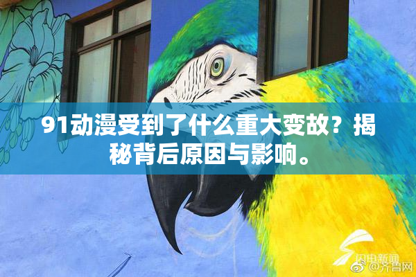 91动漫受到了什么重大变故？揭秘背后原因与影响。