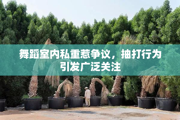 舞蹈室内私重惹争议，抽打行为引发广泛关注