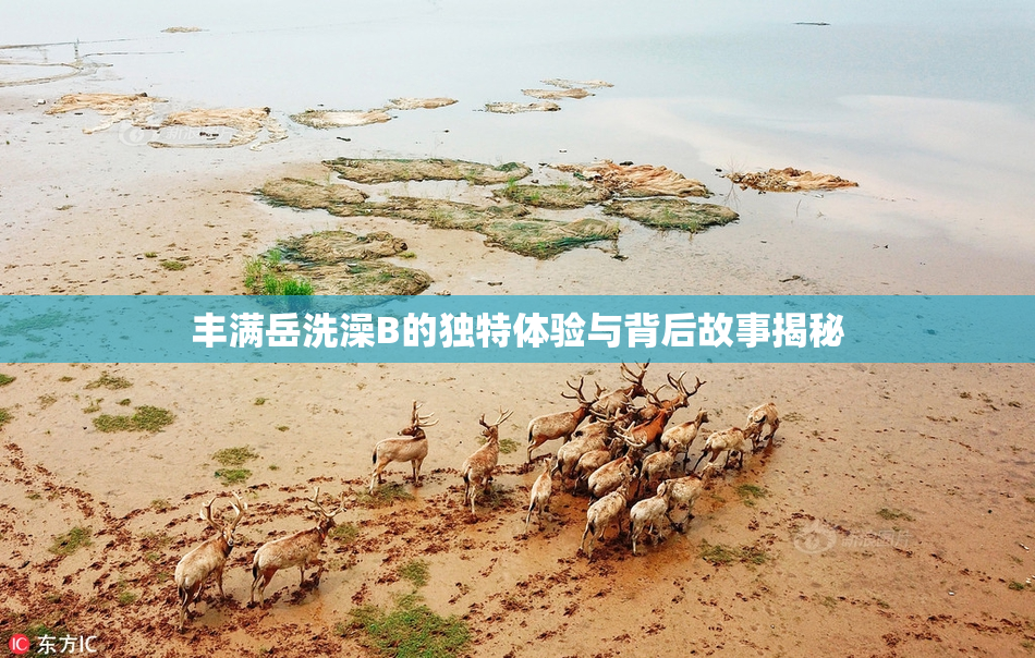 丰满岳洗澡B的独特体验与背后故事揭秘