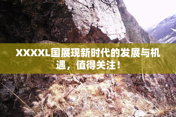 XXXXL国展现新时代的发展与机遇，值得关注！