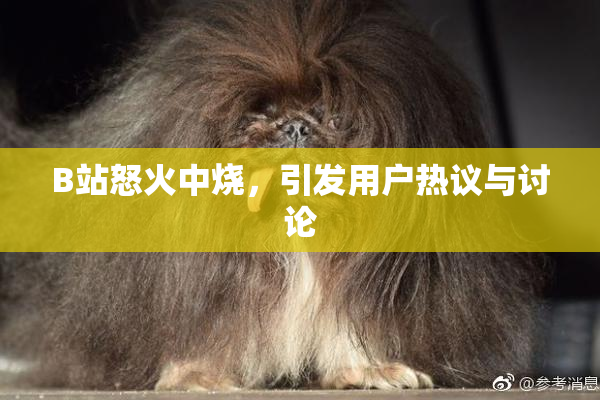 B站怒火中烧，引发用户热议与讨论