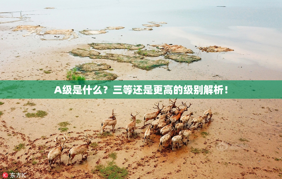 A级是什么？三等还是更高的级别解析！