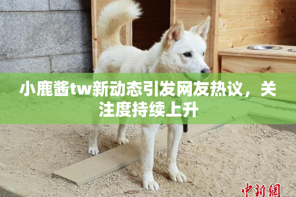 小鹿酱tw新动态引发网友热议，关注度持续上升