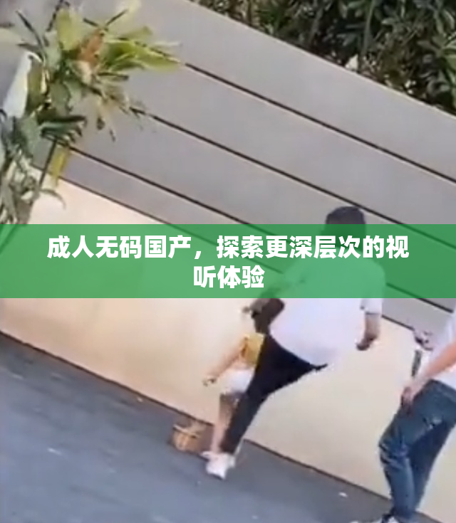 成人无码国产，探索更深层次的视听体验