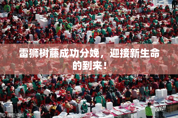 雷狮树藤成功分娩，迎接新生命的到来！