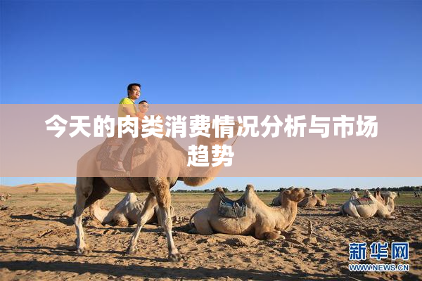 今天的肉类消费情况分析与市场趋势
