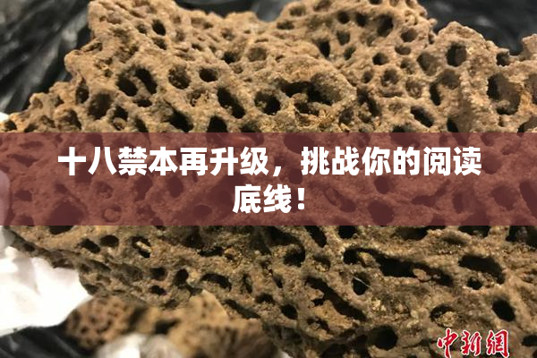 十八禁本再升级，挑战你的阅读底线！