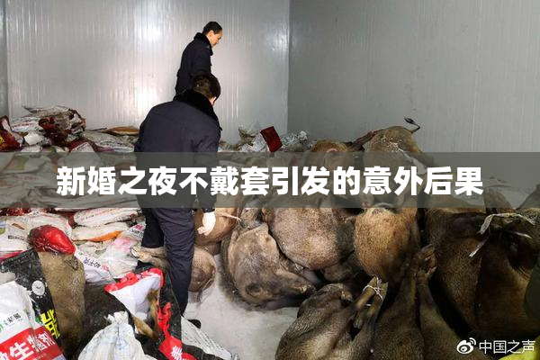 新婚之夜不戴套引发的意外后果
