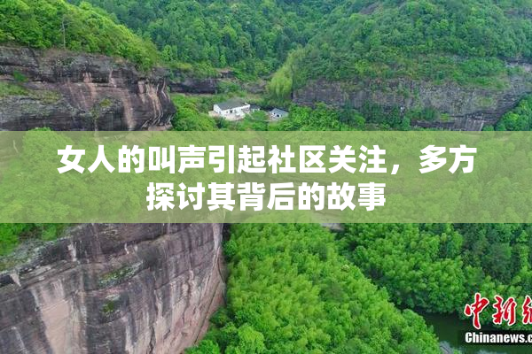 女人的叫声引起社区关注，多方探讨其背后的故事