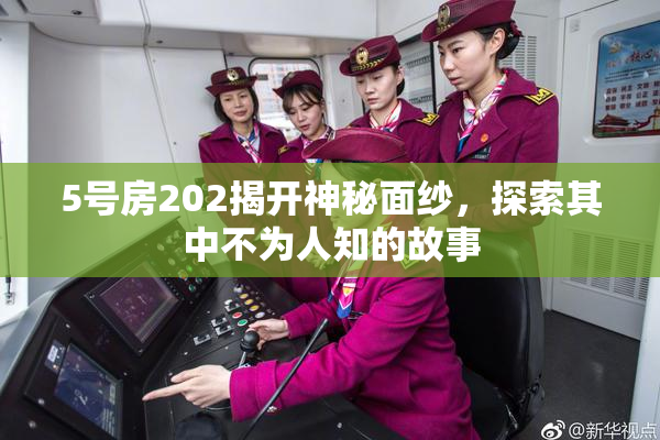 5号房202揭开神秘面纱，探索其中不为人知的故事