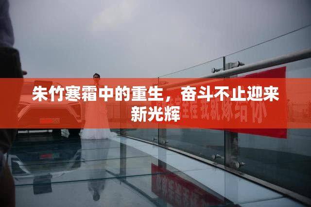 朱竹寒霜中的重生，奋斗不止迎来新光辉