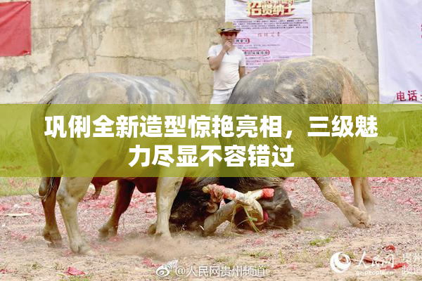 巩俐全新造型惊艳亮相，三级魅力尽显不容错过