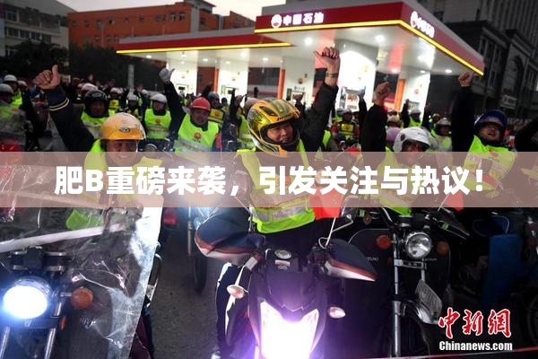 肥B重磅来袭，引发关注与热议！