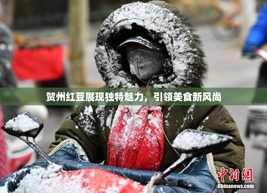 贺州红豆展现独特魅力，引领美食新风尚
