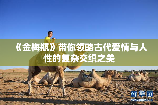 《金梅瓶》带你领略古代爱情与人性的复杂交织之美