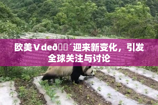 欧美Ⅴde🔴迎来新变化，引发全球关注与讨论