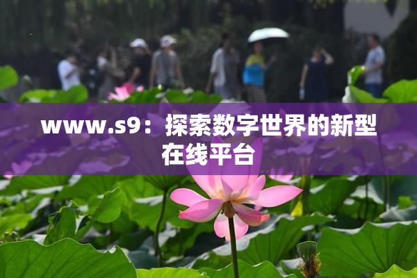 www.s9：探索数字世界的新型在线平台