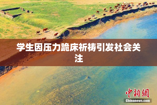 学生因压力跪床祈祷引发社会关注