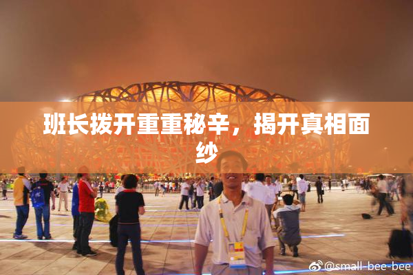 班长拨开重重秘辛，揭开真相面纱