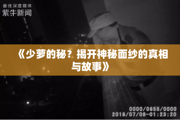 《少萝的秘？揭开神秘面纱的真相与故事》