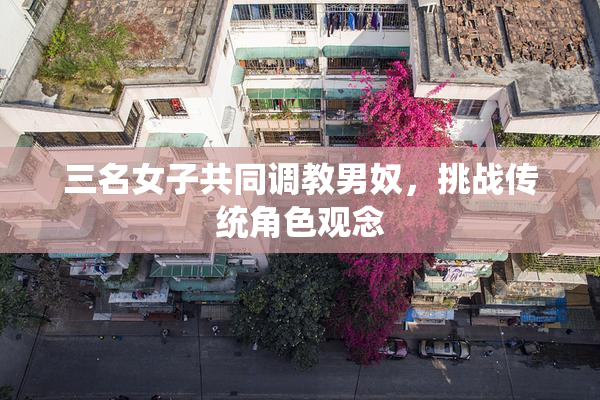 三名女子共同调教男奴，挑战传统角色观念