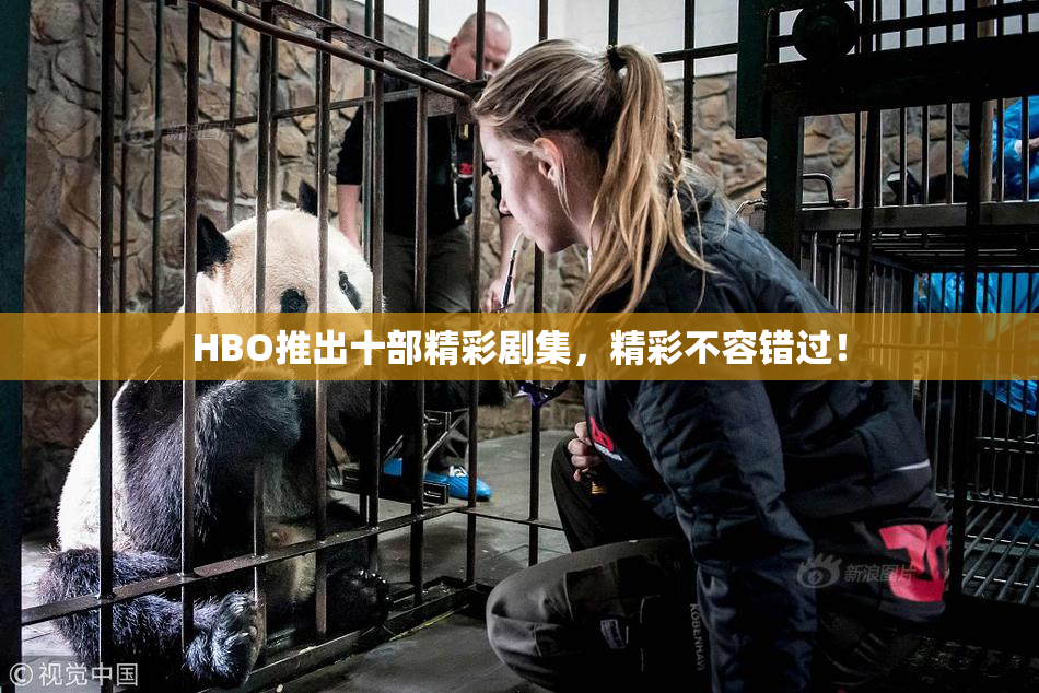 HBO推出十部精彩剧集，精彩不容错过！