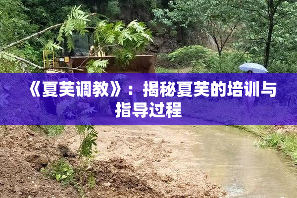 《夏芙调教》：揭秘夏芙的培训与指导过程