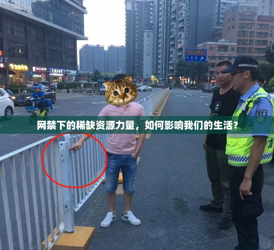 网禁下的稀缺资源力量，如何影响我们的生活？