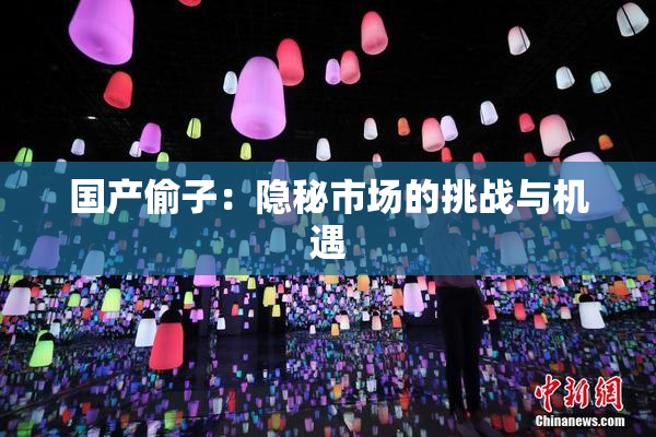 国产偷子：隐秘市场的挑战与机遇