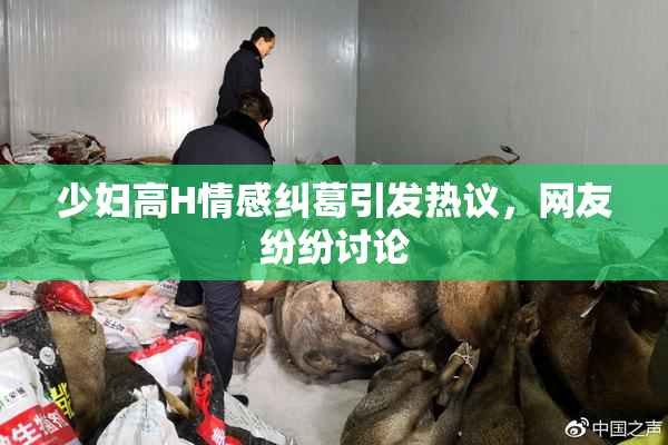 少妇高H情感纠葛引发热议，网友纷纷讨论