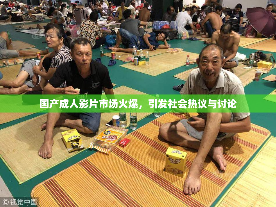 国产成人影片市场火爆，引发社会热议与讨论