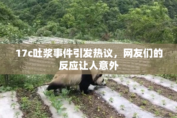 17c吐浆事件引发热议，网友们的反应让人意外