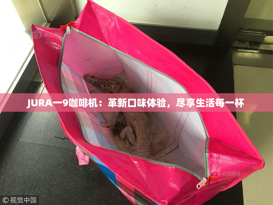 JURA一9咖啡机：革新口味体验，尽享生活每一杯