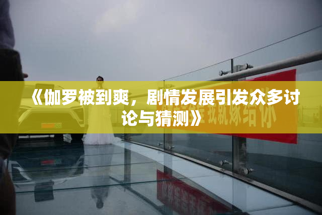 《伽罗被到爽，剧情发展引发众多讨论与猜测》