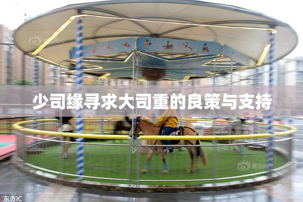 少司缘寻求大司重的良策与支持