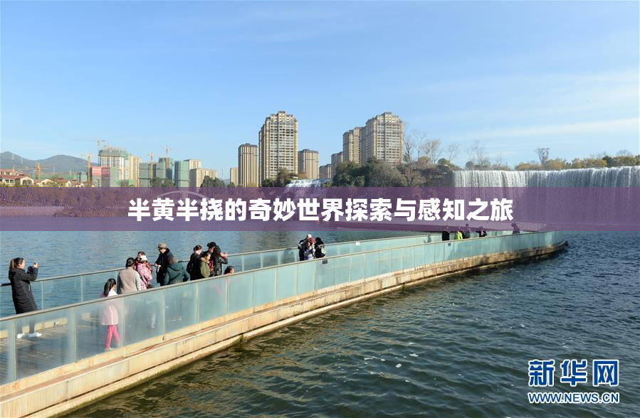 半黄半挠的奇妙世界探索与感知之旅