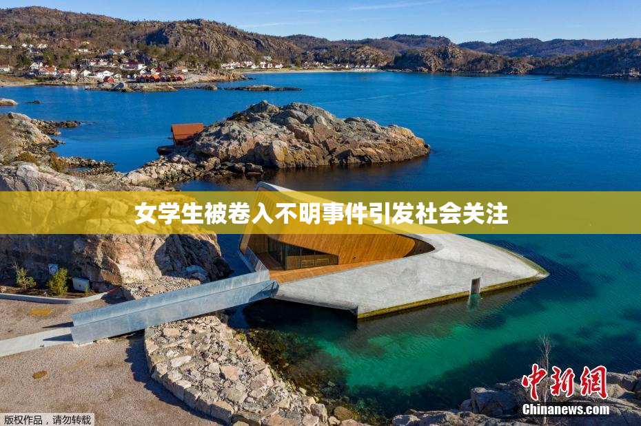 女学生被卷入不明事件引发社会关注
