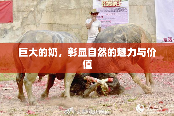 巨大的奶，彰显自然的魅力与价值