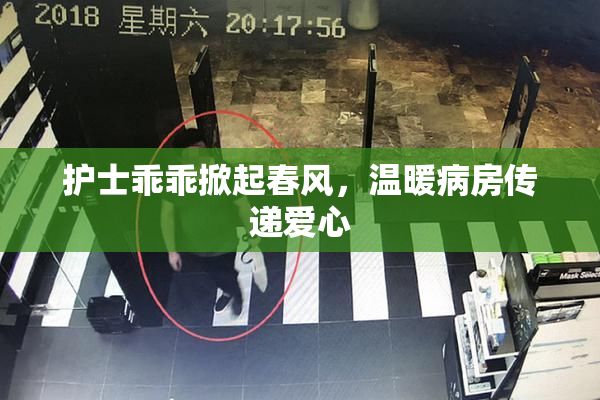 护士乖乖掀起春风，温暖病房传递爱心