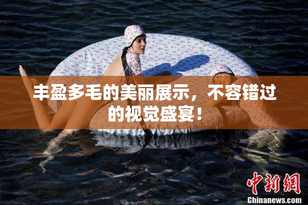 丰盈多毛的美丽展示，不容错过的视觉盛宴！
